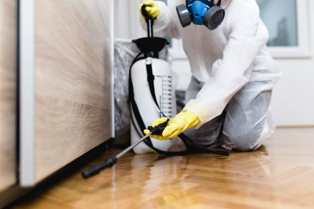 Best Pest Prevention Services  in Saxapahaw, NC