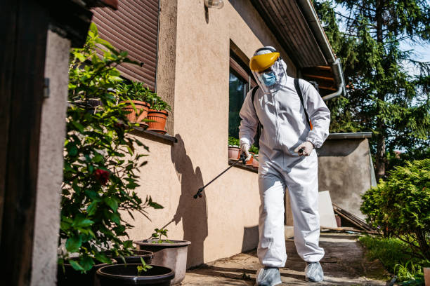 Best Exterminator Services  in Saxapahaw, NC