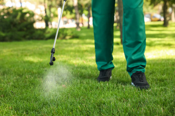 Best Pest Control Treatment  in Saxapahaw, NC