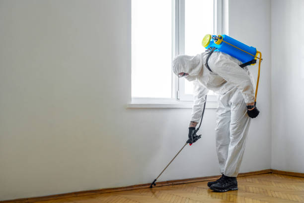 Best Cockroach Control Services  in Saxapahaw, NC