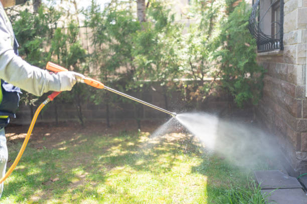 Spider Control Near Me in Saxapahaw, NC