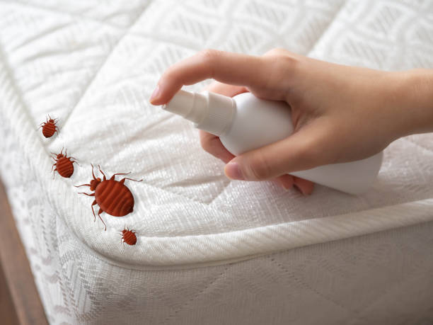 Pest Control for Restaurants in Saxapahaw, NC