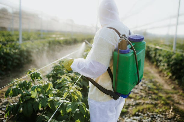 Best Affordable Pest Control Services  in Saxapahaw, NC